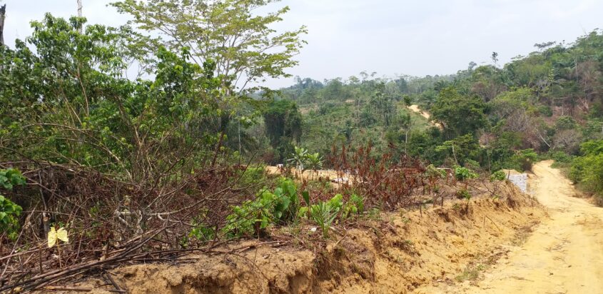 Terrains titrés en vente à Missolè II