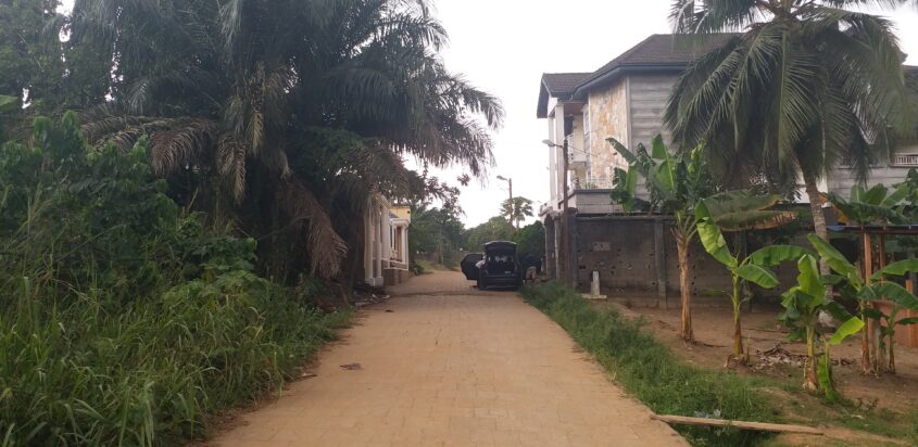 Terrain de 1000m2 titrés en vente à Nyalla Pariso